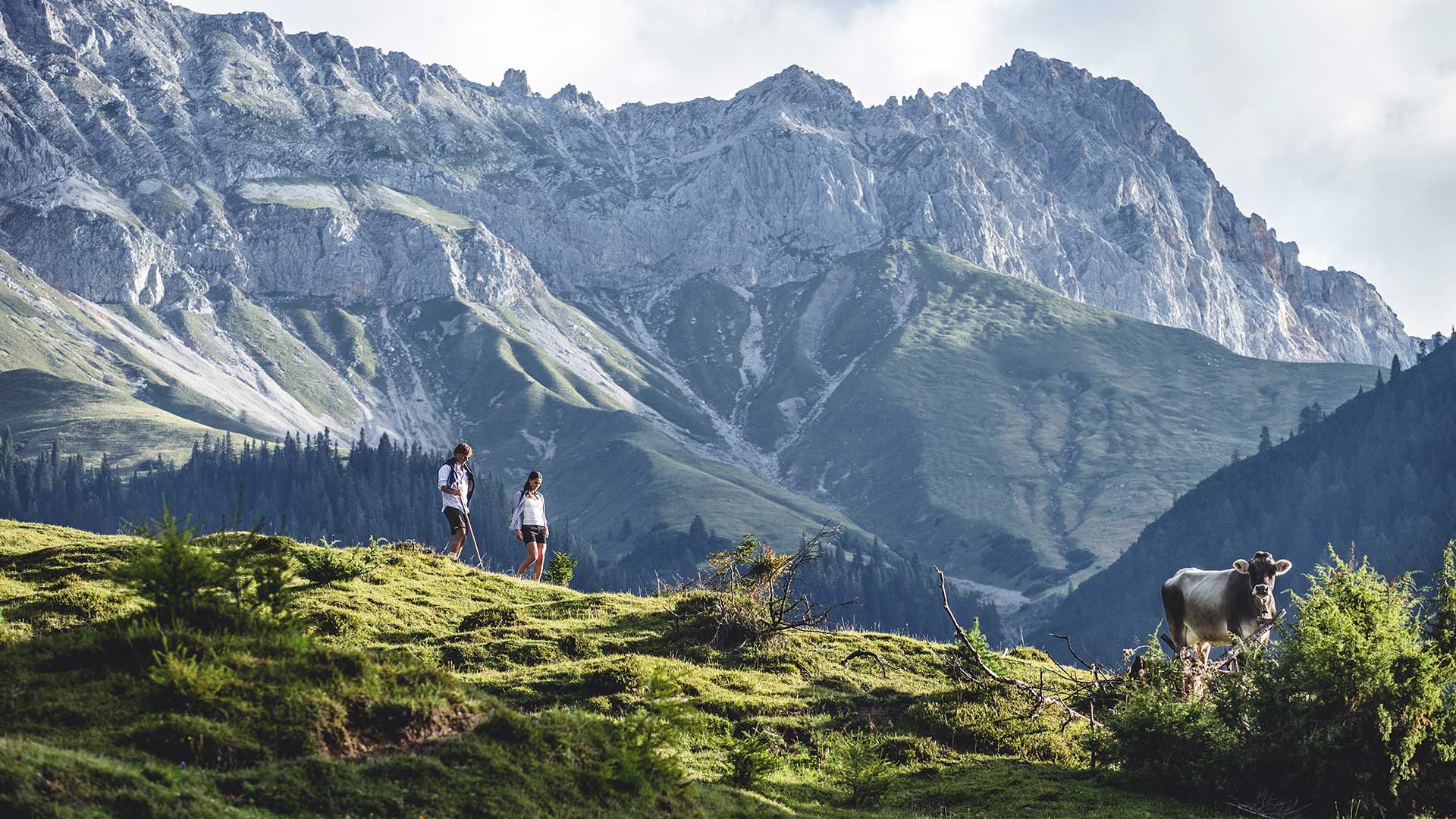 Wandern & Klettern