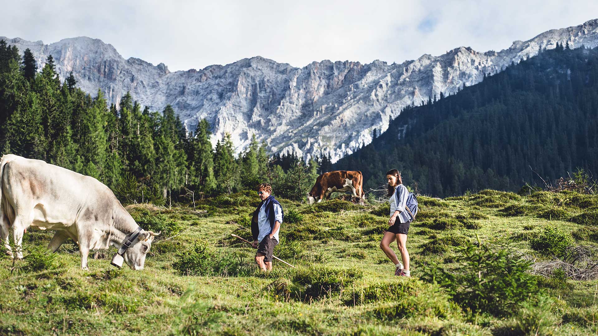 Wandern & Klettern