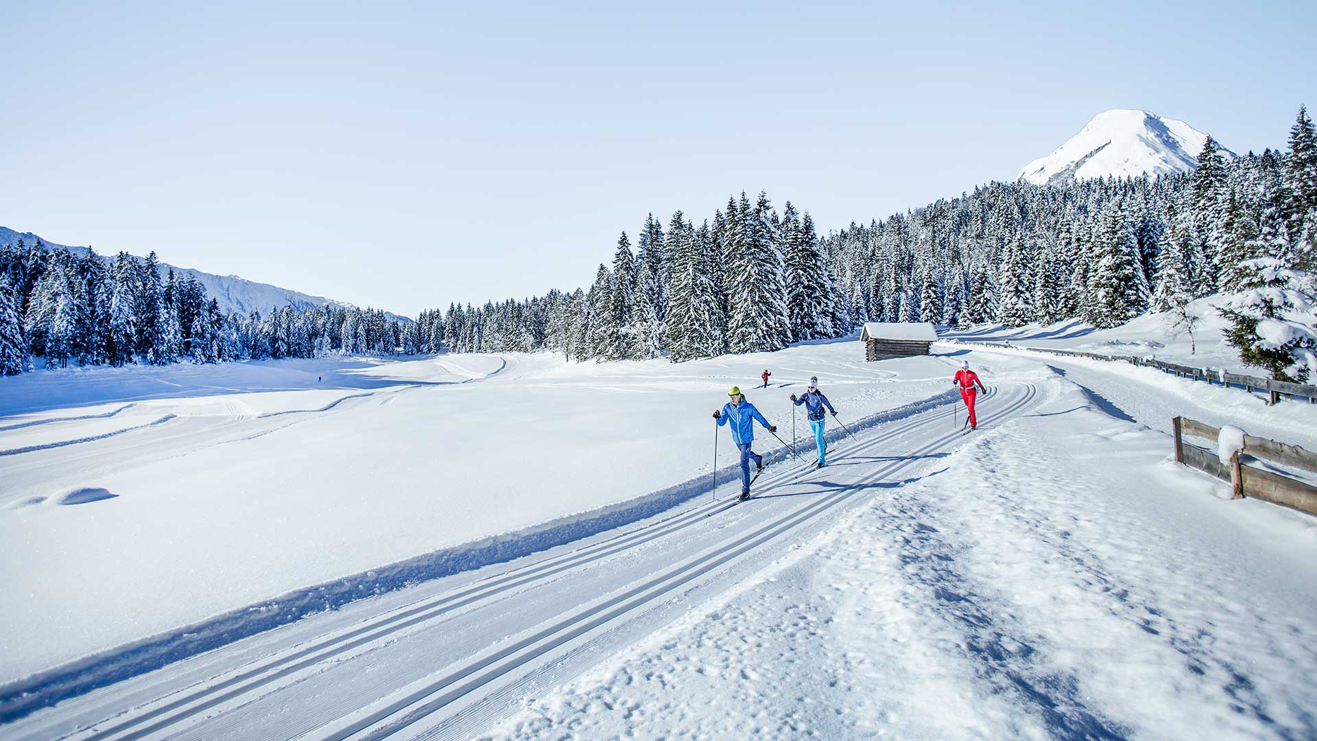 Langlauf & Biathlon