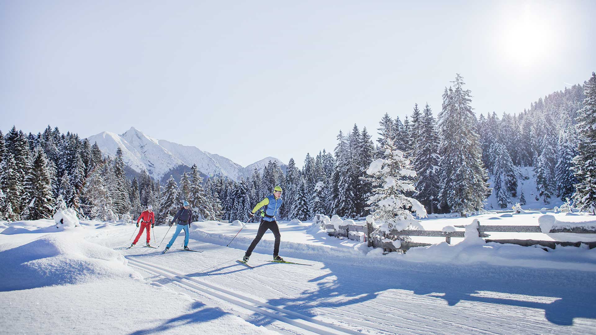 Langlauf & Biathlon